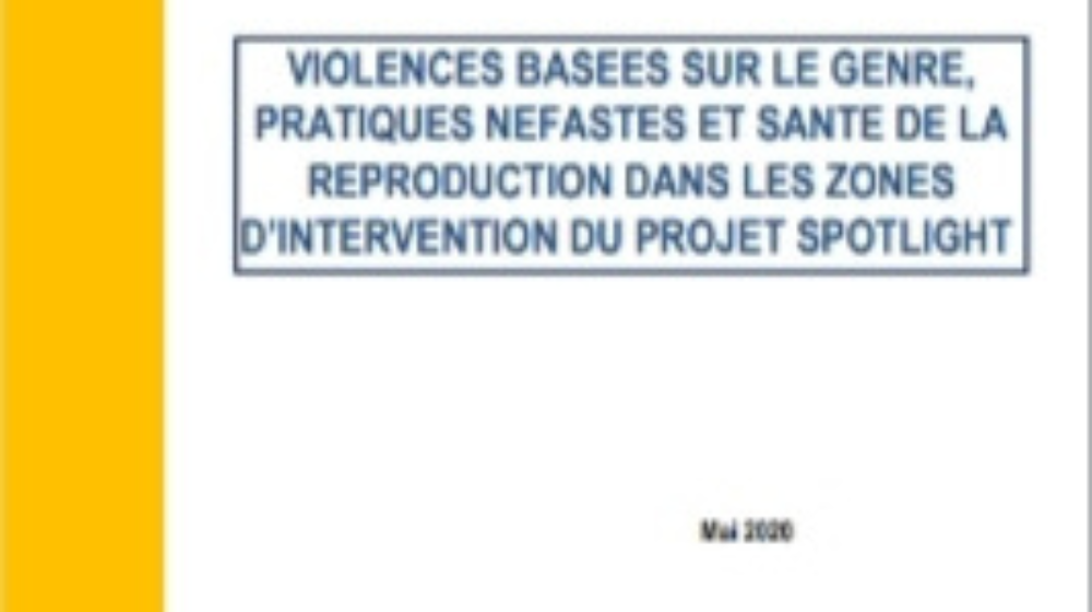 Rapport UNFPA INSTAT