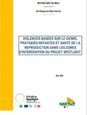 RAPPORT ETUDE VBG UNFPA INSTAT DANS LES ZONES DU PROGRAMME SPOTLIGHT INITIATIVE  COVID 19 SUR LES 