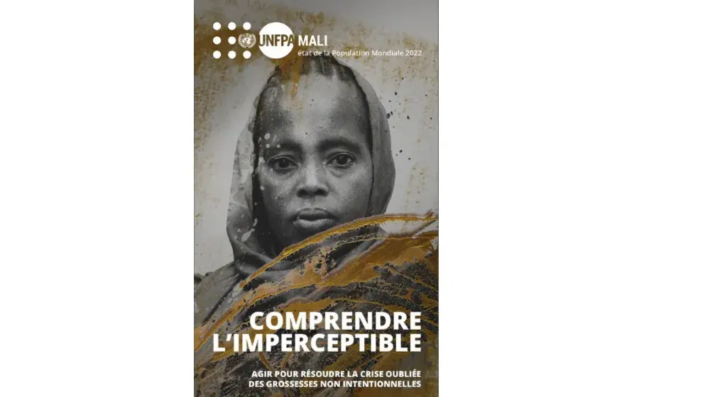 COMPRENDRE L'IMPERCEPTIBLE...AU MALI